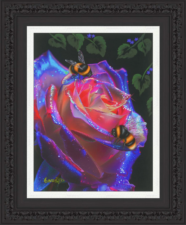 Iridescent Rose Bumble Bee