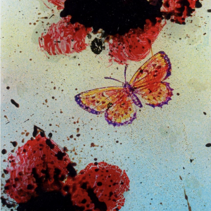 Flight Freedom and Fancy III - 2