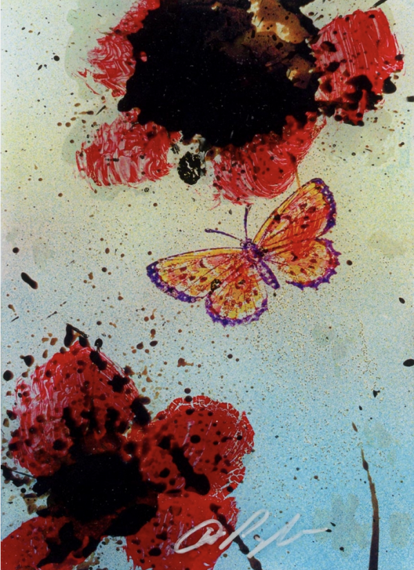 Flight Freedom and Fancy III - 2