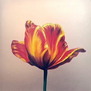 Ode to Holland, Hue of Fire