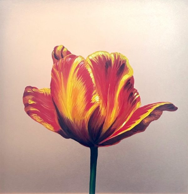 Ode to Holland, Hue of Fire
