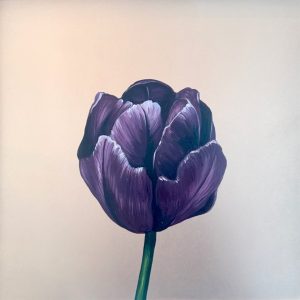 Ode to Holland, In Purple
