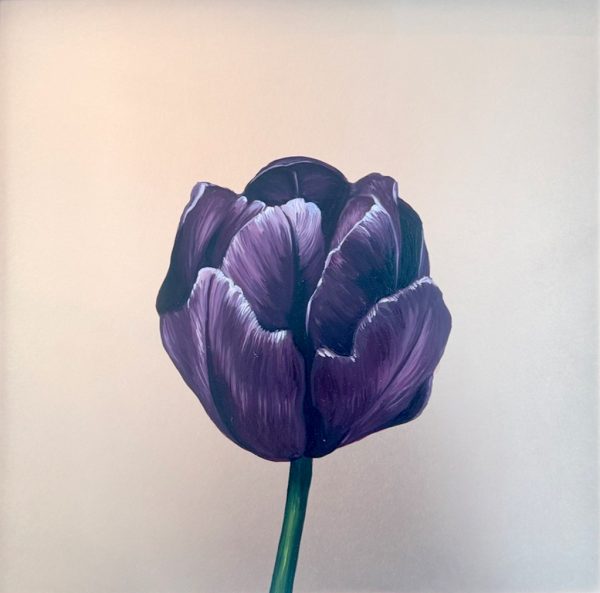Ode to Holland, In Purple