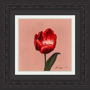 Ode to Holland in Red