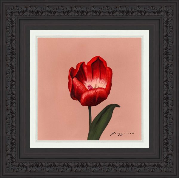 Ode to Holland in Red