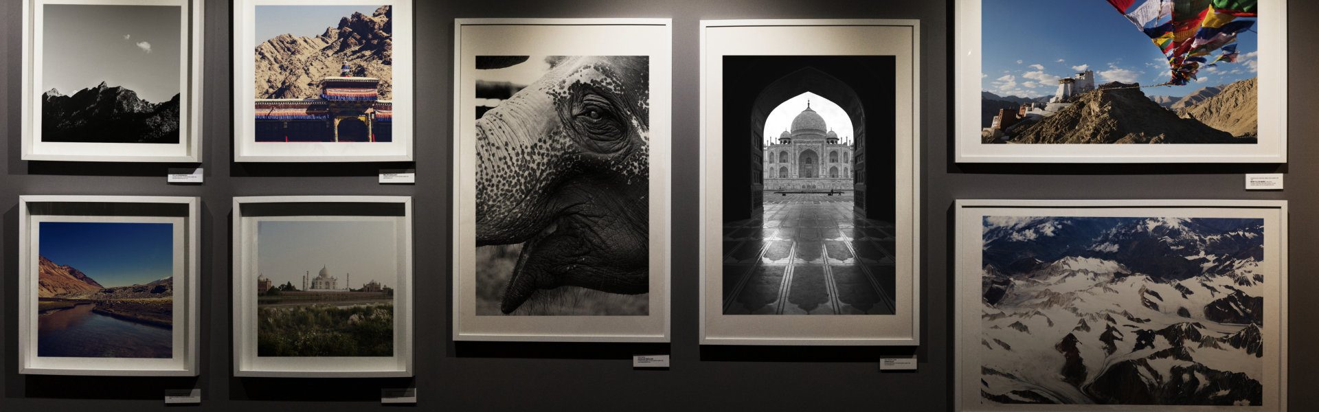 paintings on the wall